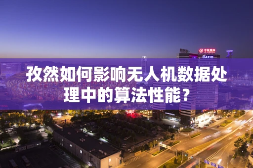 孜然如何影响无人机数据处理中的算法性能？