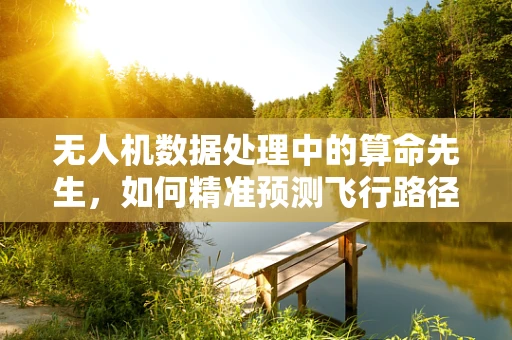 无人机数据处理中的算命先生，如何精准预测飞行路径？