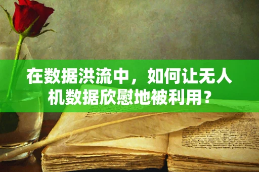 在数据洪流中，如何让无人机数据欣慰地被利用？