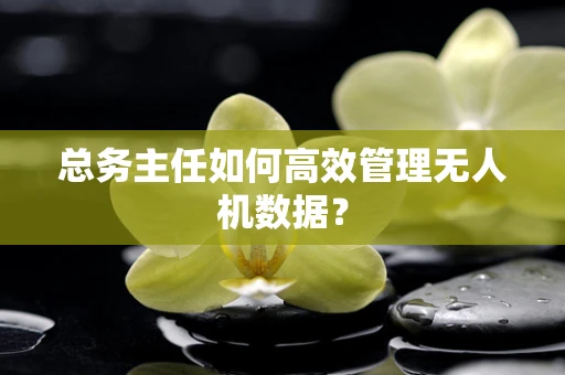 总务主任如何高效管理无人机数据？