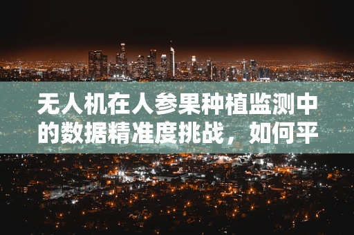无人机在人参果种植监测中的数据精准度挑战，如何平衡高分辨率与实时性？