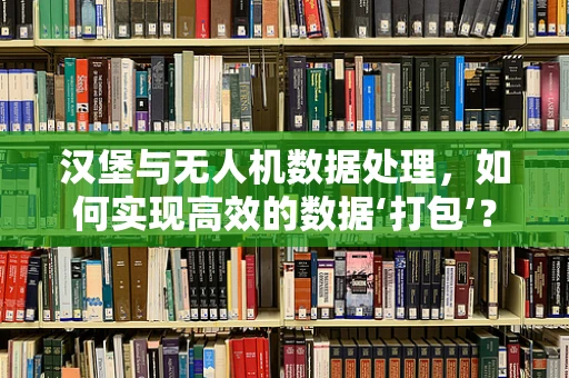 汉堡与无人机数据处理，如何实现高效的数据‘打包’？