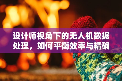 设计师视角下的无人机数据处理，如何平衡效率与精确性？
