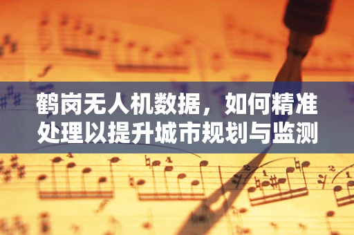 鹤岗无人机数据，如何精准处理以提升城市规划与监测？