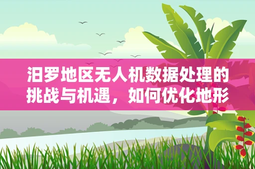 汨罗地区无人机数据处理的挑战与机遇，如何优化地形复杂区域的图像识别？