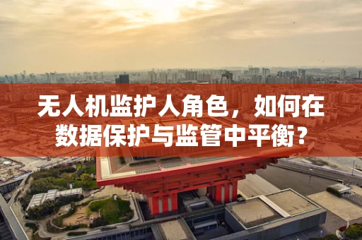 无人机监护人角色，如何在数据保护与监管中平衡？
