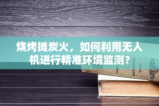 烧烤摊炭火，如何利用无人机进行精准环境监测？