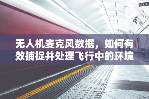 无人机麦克风数据，如何有效捕捉并处理飞行中的环境声音？