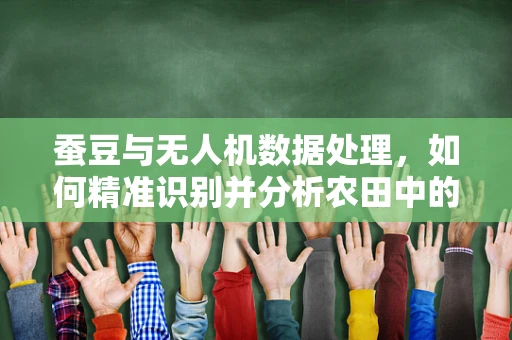 蚕豆与无人机数据处理，如何精准识别并分析农田中的作物特征？