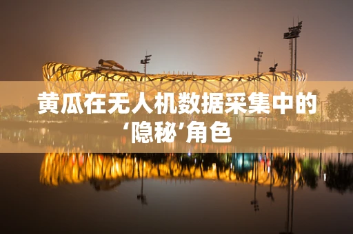 黄瓜在无人机数据采集中的‘隐秘’角色