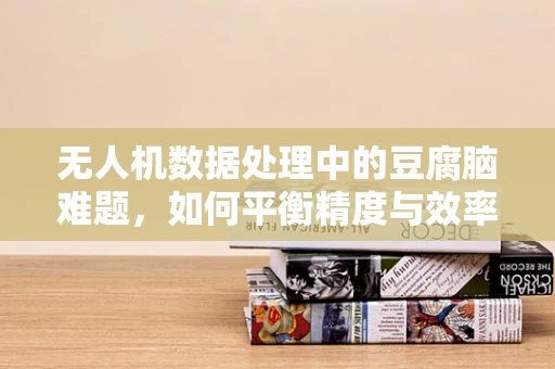 无人机数据处理中的豆腐脑难题，如何平衡精度与效率？