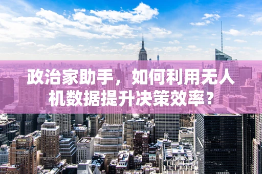 政治家助手，如何利用无人机数据提升决策效率？