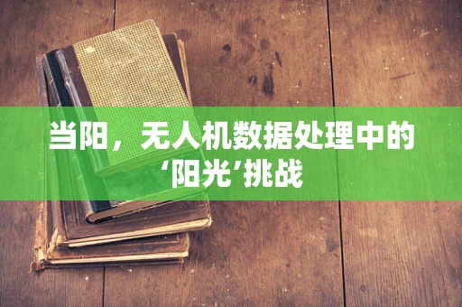 当阳，无人机数据处理中的‘阳光’挑战