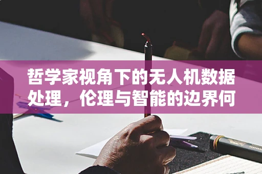哲学家视角下的无人机数据处理，伦理与智能的边界何在？