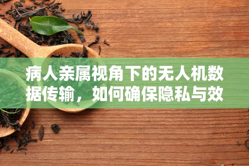 病人亲属视角下的无人机数据传输，如何确保隐私与效率的平衡？