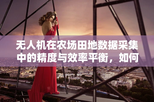 无人机在农场田地数据采集中的精度与效率平衡，如何实现？