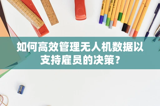 如何高效管理无人机数据以支持雇员的决策？