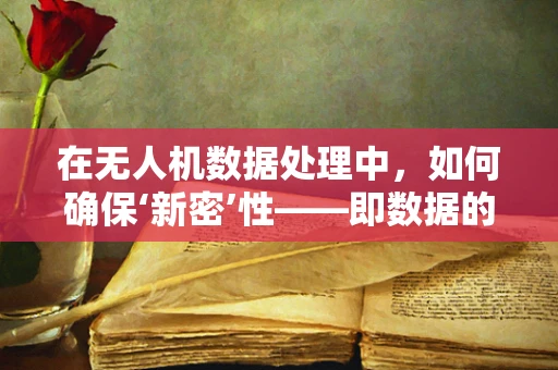 在无人机数据处理中，如何确保‘新密’性——即数据的新鲜度与隐私保护？