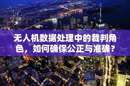 无人机数据处理中的裁判角色，如何确保公正与准确？
