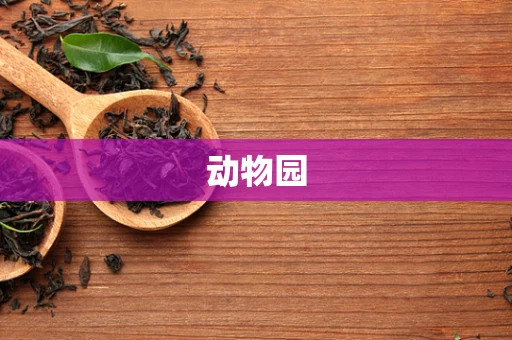 动物园