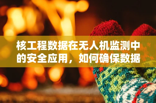 核工程数据在无人机监测中的安全应用，如何确保数据处理的准确性？