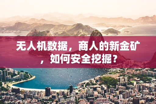 无人机数据，商人的新金矿，如何安全挖掘？
