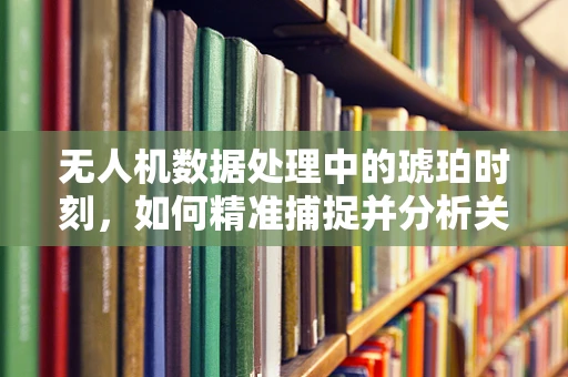无人机数据处理中的琥珀时刻，如何精准捕捉并分析关键飞行数据？