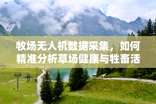 牧场无人机数据采集，如何精准分析草场健康与牲畜活动？