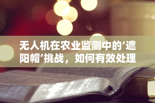 无人机在农业监测中的‘遮阳帽’挑战，如何有效处理数据？