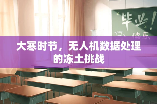 大寒时节，无人机数据处理的冻土挑战