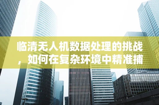 临清无人机数据处理的挑战，如何在复杂环境中精准捕捉？