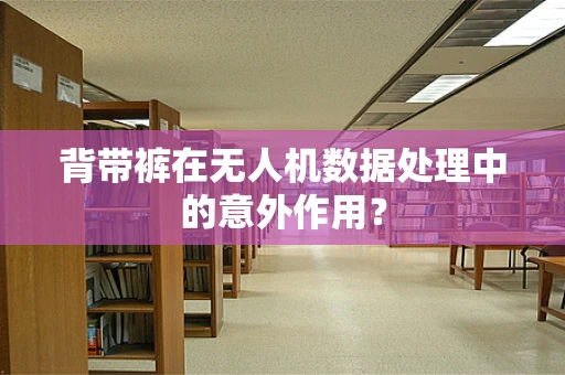 背带裤在无人机数据处理中的意外作用？