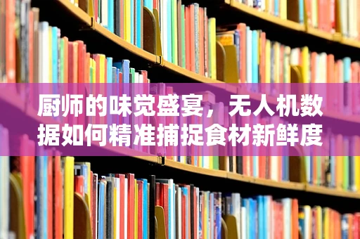厨师的味觉盛宴，无人机数据如何精准捕捉食材新鲜度？