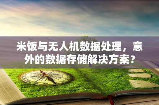 米饭与无人机数据处理，意外的数据存储解决方案？