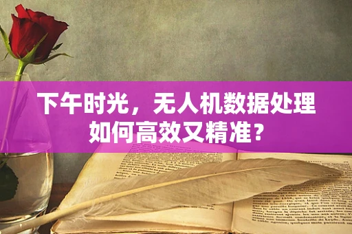 下午时光，无人机数据处理如何高效又精准？