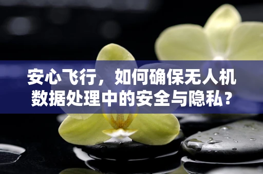 安心飞行，如何确保无人机数据处理中的安全与隐私？