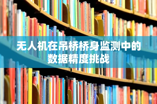 无人机在吊桥桥身监测中的数据精度挑战
