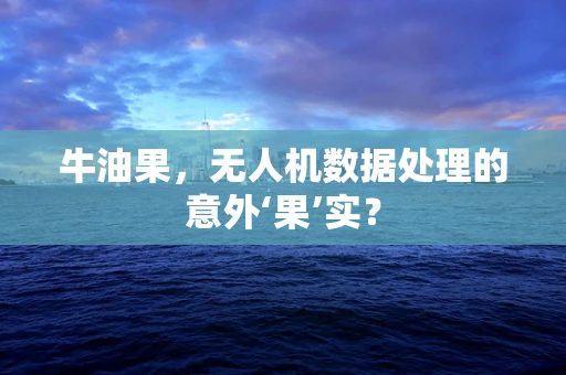 牛油果，无人机数据处理的意外‘果’实？