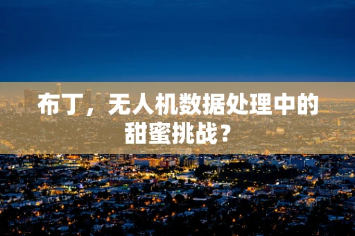布丁，无人机数据处理中的甜蜜挑战？