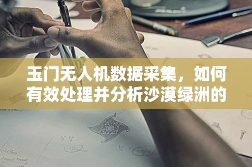 玉门无人机数据采集，如何有效处理并分析沙漠绿洲的生态变化？