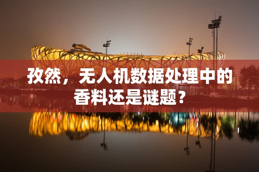 孜然，无人机数据处理中的香料还是谜题？