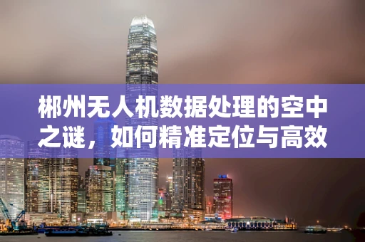 郴州无人机数据处理的空中之谜，如何精准定位与高效传输？