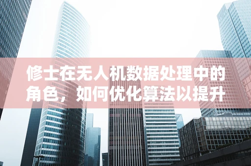 修士在无人机数据处理中的角色，如何优化算法以提升数据处理效率？
