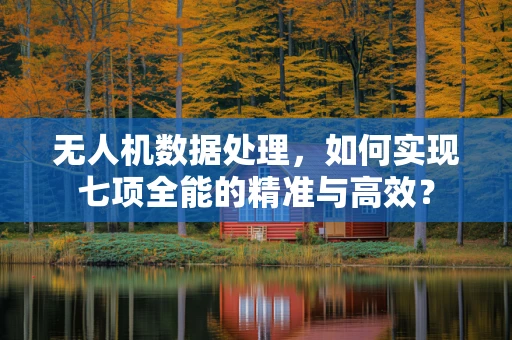 无人机数据处理，如何实现七项全能的精准与高效？