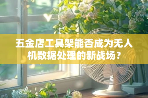 五金店工具架能否成为无人机数据处理的新战场？