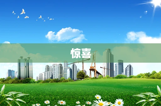 惊喜