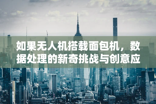如果无人机搭载面包机，数据处理的新奇挑战与创意应用？