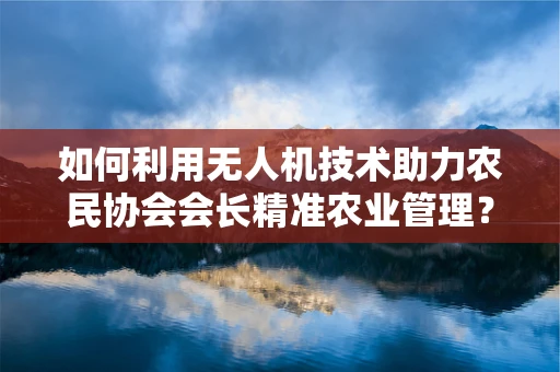 如何利用无人机技术助力农民协会会长精准农业管理？