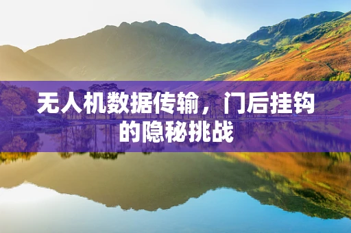 无人机数据传输，门后挂钩的隐秘挑战