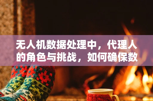 无人机数据处理中，代理人的角色与挑战，如何确保数据安全与合规？